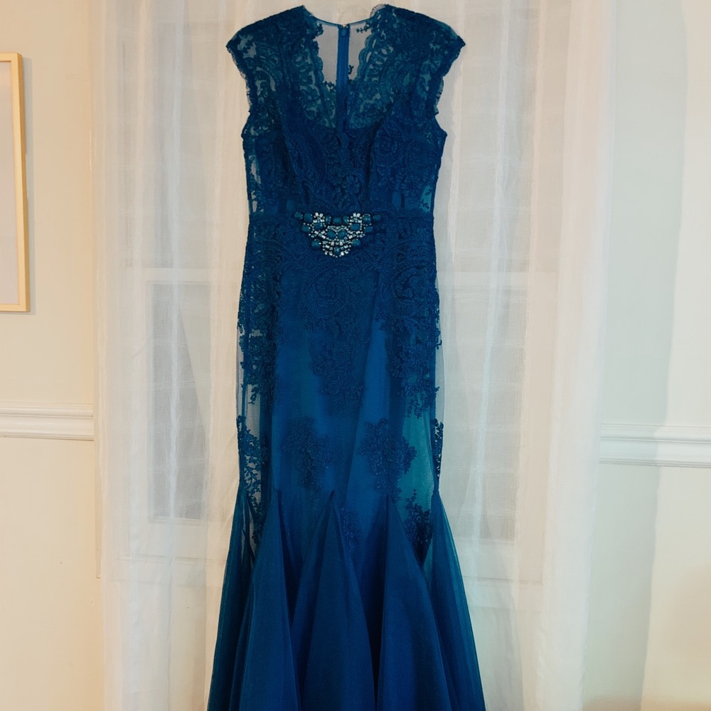 Gorgeous formal lace/tulle gown